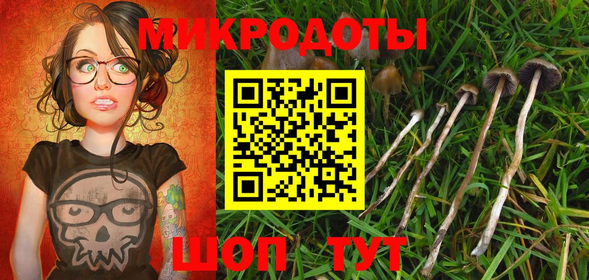 Псилоцибиновые грибы Cubensis  Вход с VPN  как найти   Краснодар 